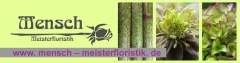 Logo Mensch Meisterfloristik e.K. Floristenfachgeschäft