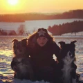 Logo Mensch-Mit-Hund-Schule Inh. Sandra Vohl
