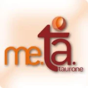 Logo Meta Import GmbH