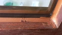 Logo Metallbau Jens Kauffmann