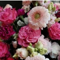 Meyer Julia Blumenladen Pusteblume H&ouml;chst&auml;dt
