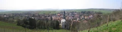 Logo Michael Gräff Weingut