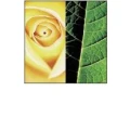 Logo Reibold, Michael