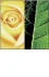 Logo Michael Reibold Blumengeschäft