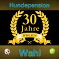 Logo Wahl, Michael