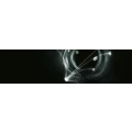 Logo Weides, Michael