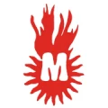 Miessmer Heizungsbau GmbH Feuerungsbau Endingen