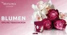 Logo MIFLORA GmbH