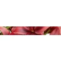 Logo Millcura Pflegedienst GmbH
