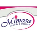 Mimosa - Blumen Linthe