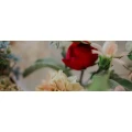 Logo ""MitLiebe"" Photography