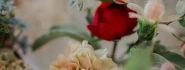 Logo "MitLiebe" Photography