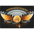 Mobildiscothek Flying Star Heideblick