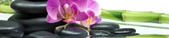Logo Mobile Massage Wellness & Pr&auml;vention - Sindy R&ouml;ske