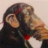 Logo Möbel Axmann KG Raumgestaltung