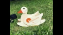 Logo Möbel- und Bauschreinerei Plenk