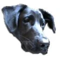 Logo Dogsitter JaHo Annette Hoss
