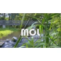 Logo MOL Katalysatortechnik GmbH