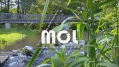 Logo MOL Katalysatortechnik GmbH