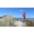 Logo Moll Impulse - Berufliches, pers&ouml;nliches, Systemisches und Hypnosecoaching, Mentaltraining
