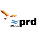 Moll-prd GmbH & Co. KG Schmallenberg