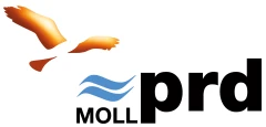 Moll-prd GmbH & Co. KG Schmallenberg