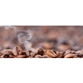 Logo Mondo del Caffe