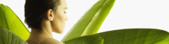 Logo Monika Fuchs - Lebenspflege