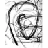 Logo Morat-Institut f&uuml;r Kunst u. Kunstwissenschaft