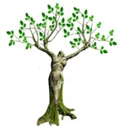 Logo Moringa Miracle Trees