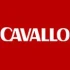 Logo Motor Presse Stuttgart GmbH & Co. KG CAVALLO Redaktion