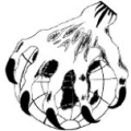 Logo Motorradclub Marchtal e.V.