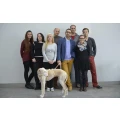 Logo Movin Verlag Bode & Cronshage GbR