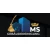 Logo MS Geb&auml;udereinigung & Hausmeisterservice