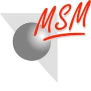 Logo MSM - Musik Show Management
