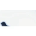 Logo MSM Personaldienstleisungen GmbH