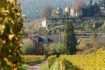 Logo Müller-Catoir Weingut