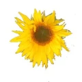Logo M&uuml;ller Hermann GbR