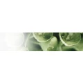 Logo Mulke Topfkr&auml;uter GmbH
