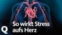 Logo Multiservice Geier