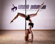 Logo Munich Poledance Inh. Alexandra Hempel