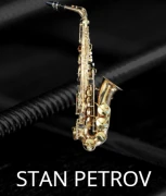 Musikschule Stan Petrov Wiesbaden