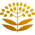 Logo Mutter Holunder Ihr Teehaus in Mainz