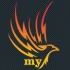 Logo my-Fenix-Software GmbH