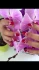 Logo My Nails Neudorf