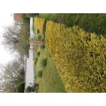 Mylius u. Becker GbR Garten- und Landschaftsbau Dortmund