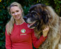 Logo Nadine Kosian Tierheilpraktikerin Osteopathin für Hunde und Katzen