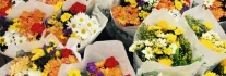 Logo Nadines Blumenladen Blumenladen