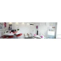 Logo Nagelstudio Baden-Baden Safari Nails Georgios Safaridis & Safarova Oxana