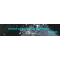 Logo Nagelstudio BestNails Inh.